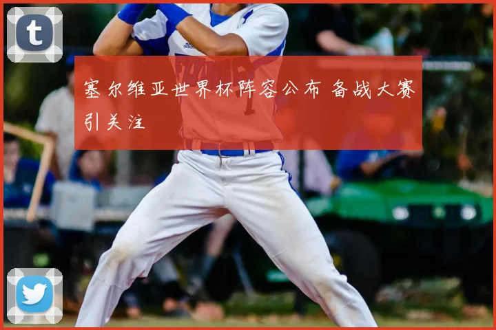 塞尔维亚世界杯阵容公布 备战大赛引关注